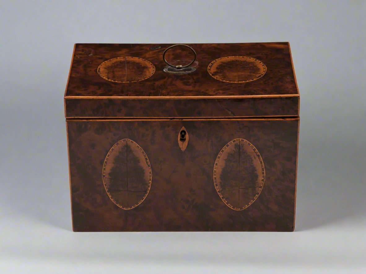 Antique Burr yew tea caddy