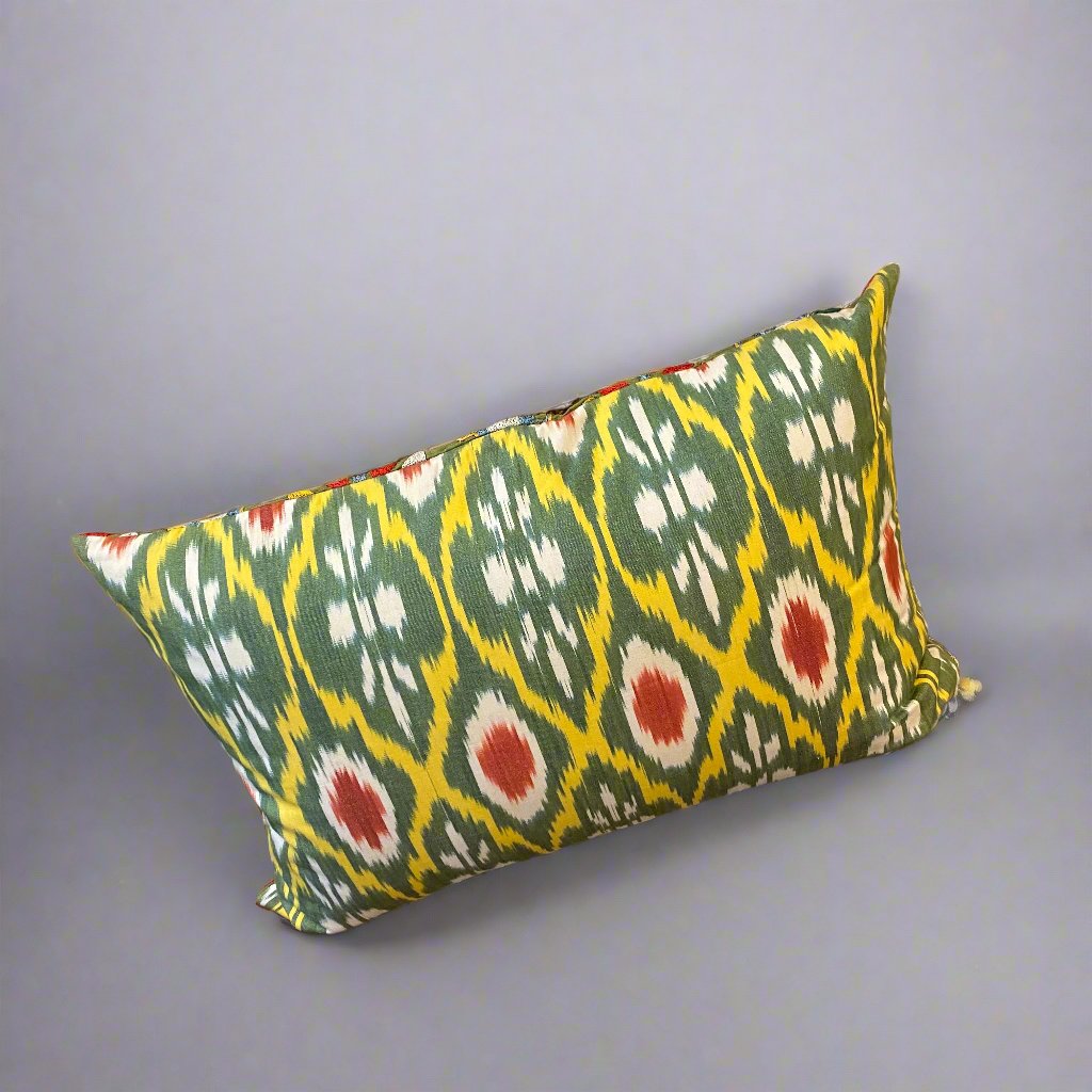 Suzani cushion ikat back