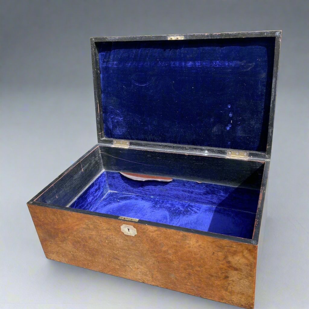 burr walnut cutlery box